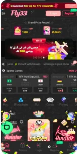 Fly33 Game