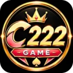 c222 game