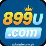 899u Game