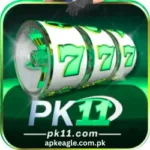 Pk11 Game